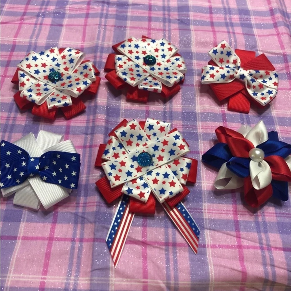 4th of July Hair clips & 1 pin